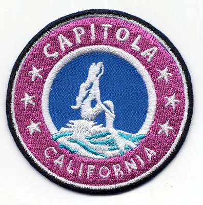 Patches de bordados de ferro personalizados Emblema de animais Patch de logotipo bordado