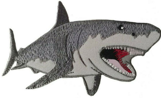 O tubarão de Great White bordou o ferro do remendo no fundo da tela da sarja do Applique